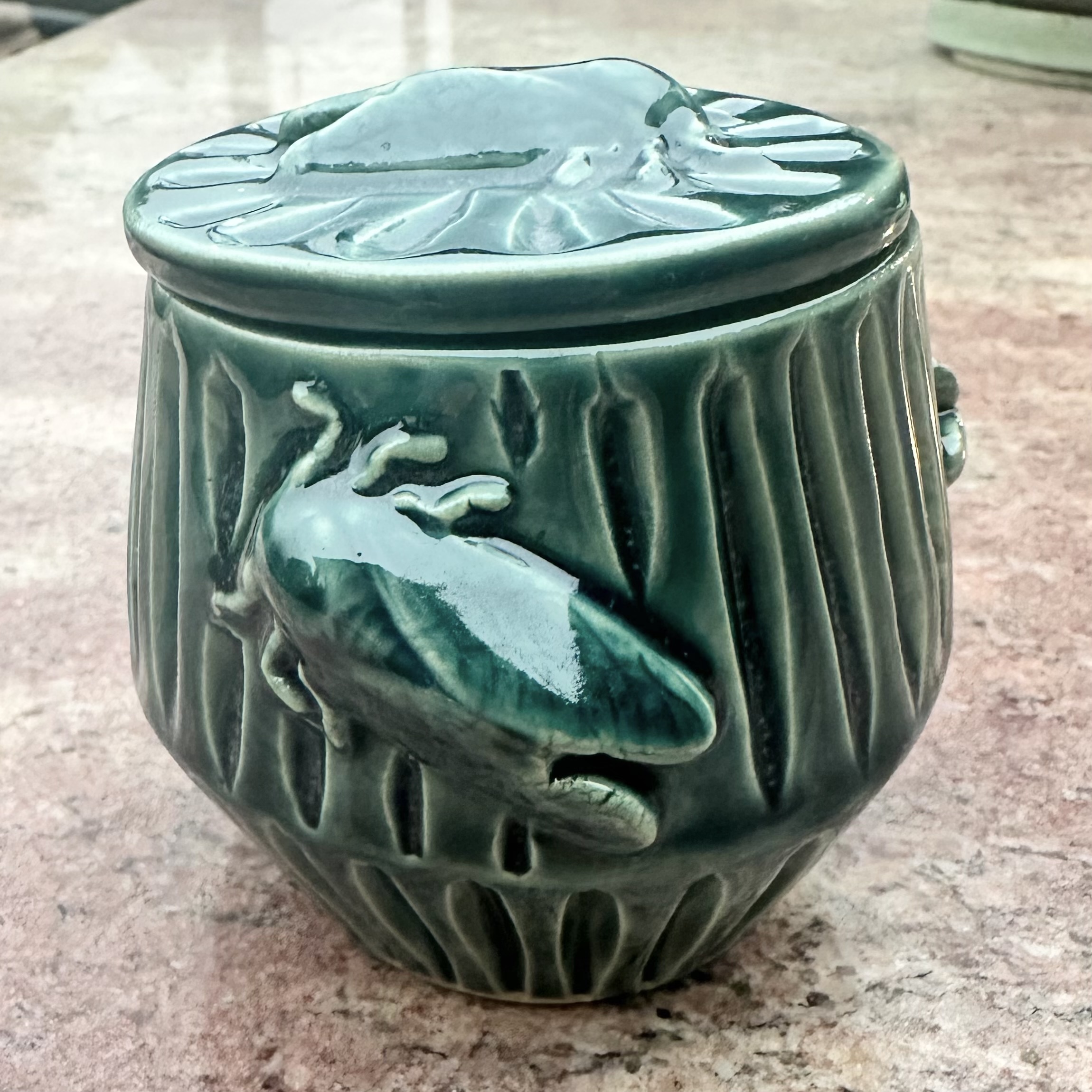 Beetles Jar